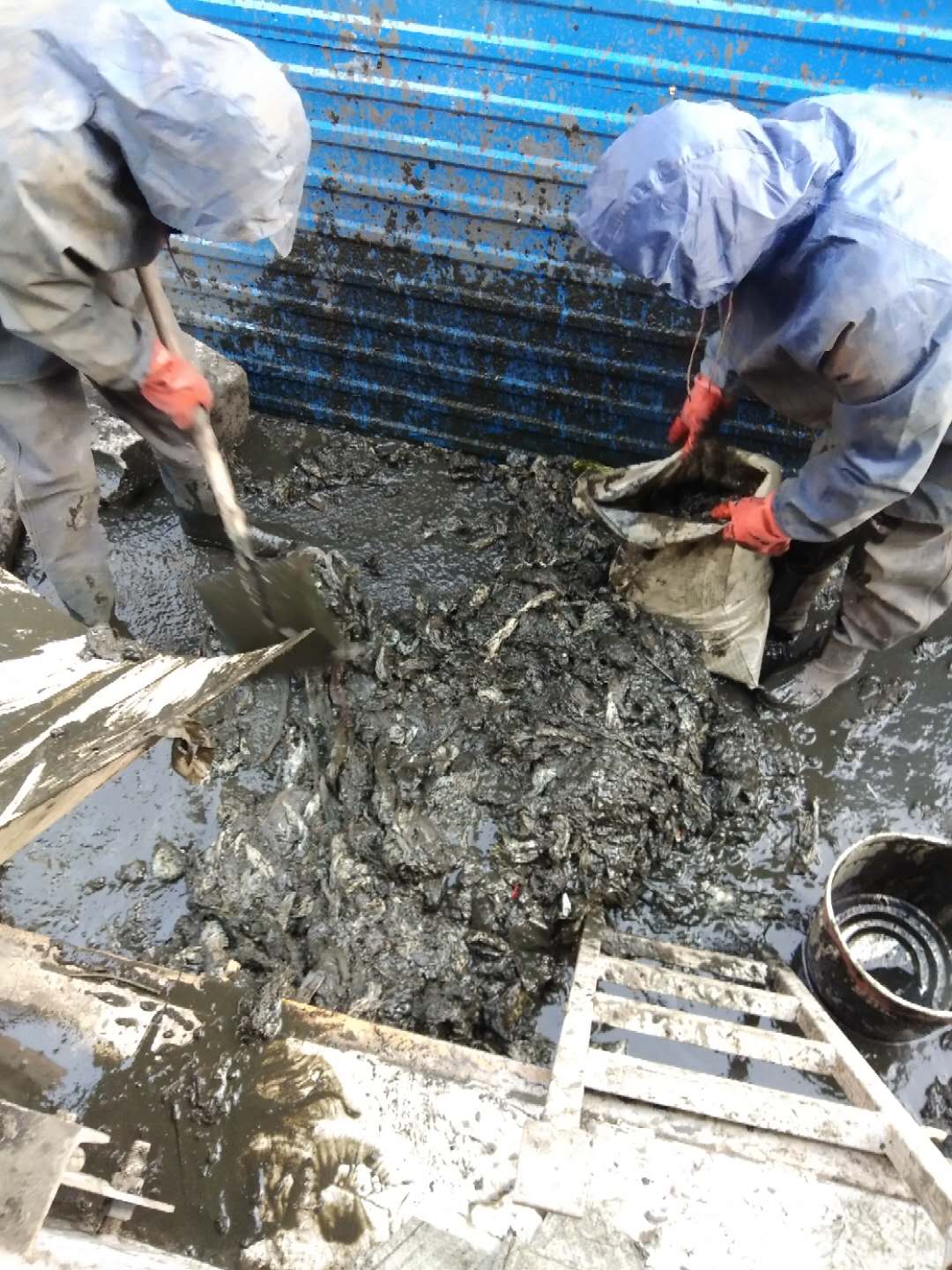 污水池清理，化粪池清理，干湿分离处理